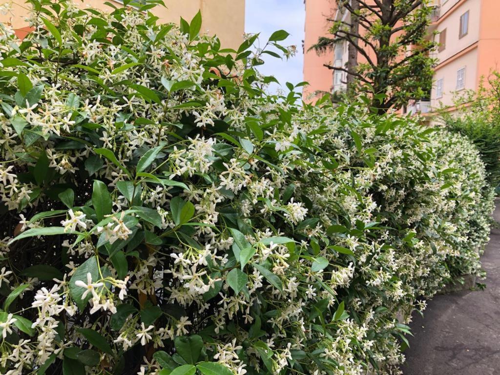 La Casa Nel Parco Bed & Breakfast Napoli Dış mekan fotoğraf